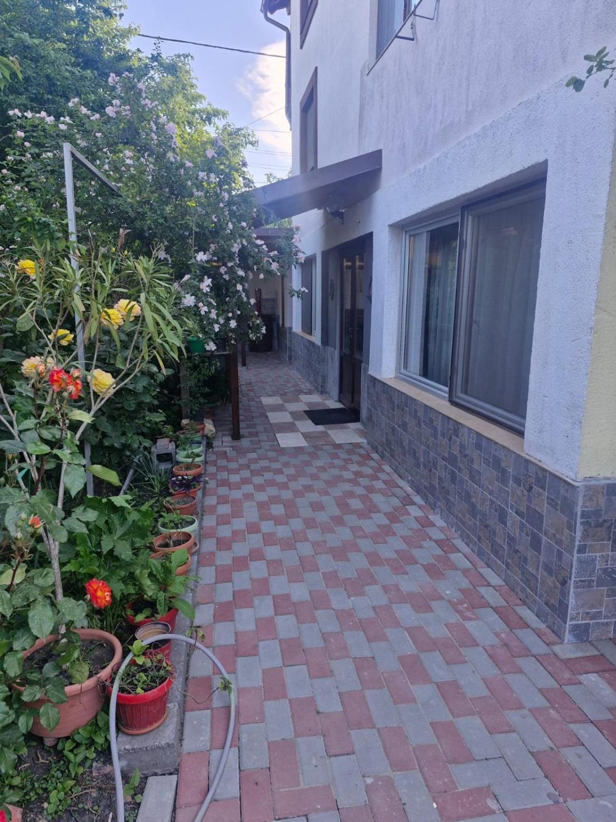 Casa Donau Delta Hotell Sulina Exteriör bild